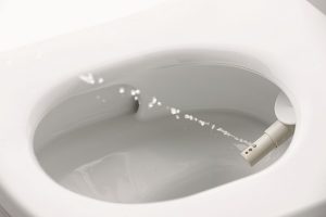 Intimhygiene mit Wasser nach dem Toilettengang: In Japan längst Standard, in Europa noch eher unbekannt. Foto: Toto